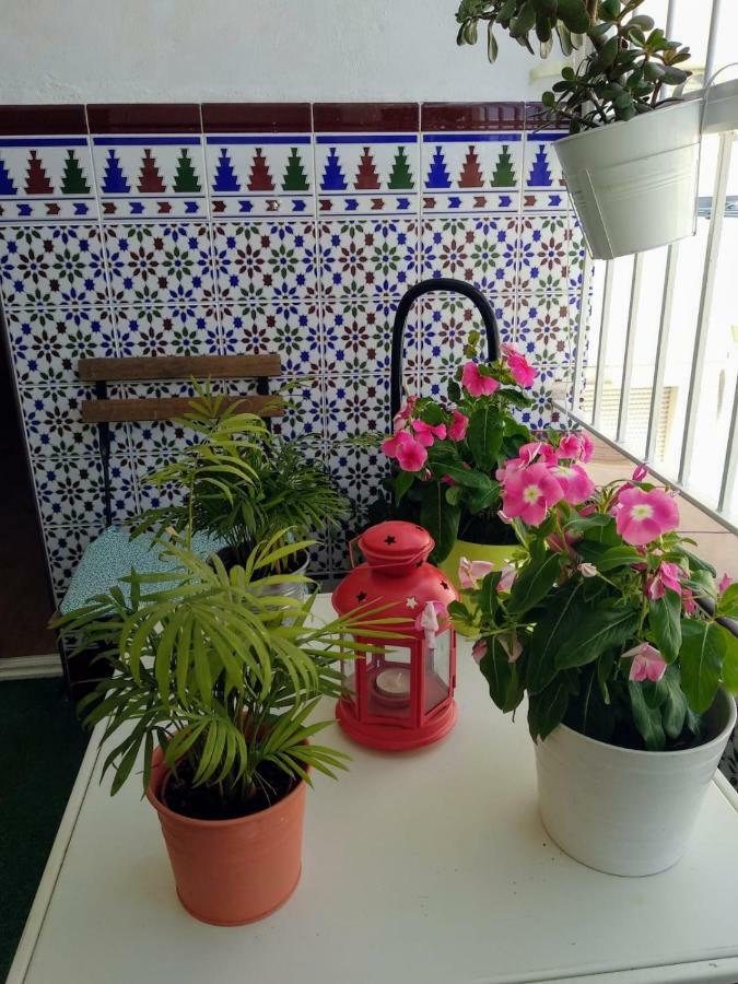 Apartamento Limon Murcia Dış mekan fotoğraf